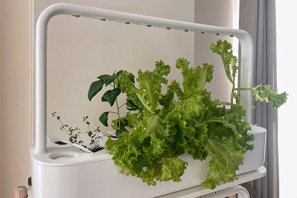 Smart Home Garden, Panen Sayur Fresh dari Apartemen