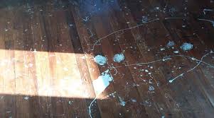 Cara Membersihkan Noda Cat Yang Menempel Di Lantai